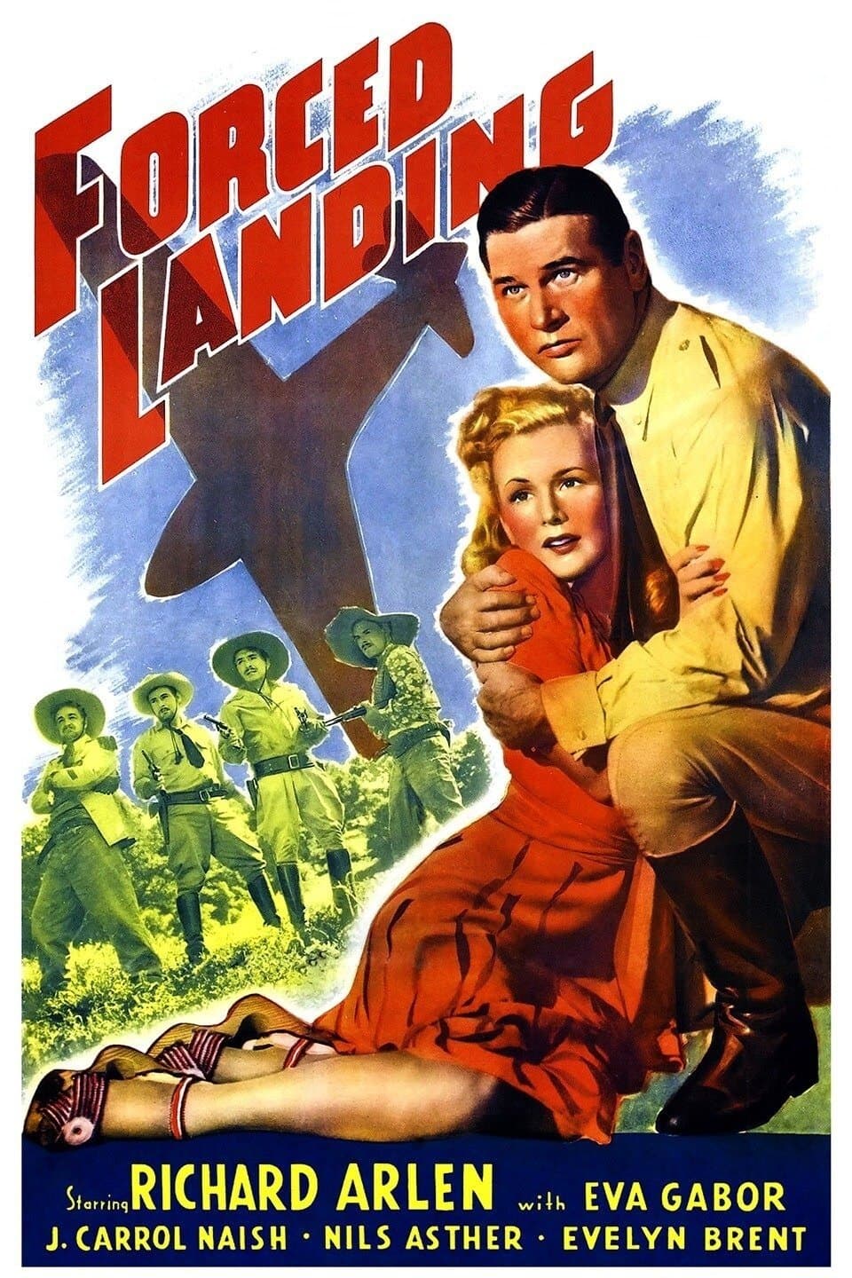 Forced Landing photo