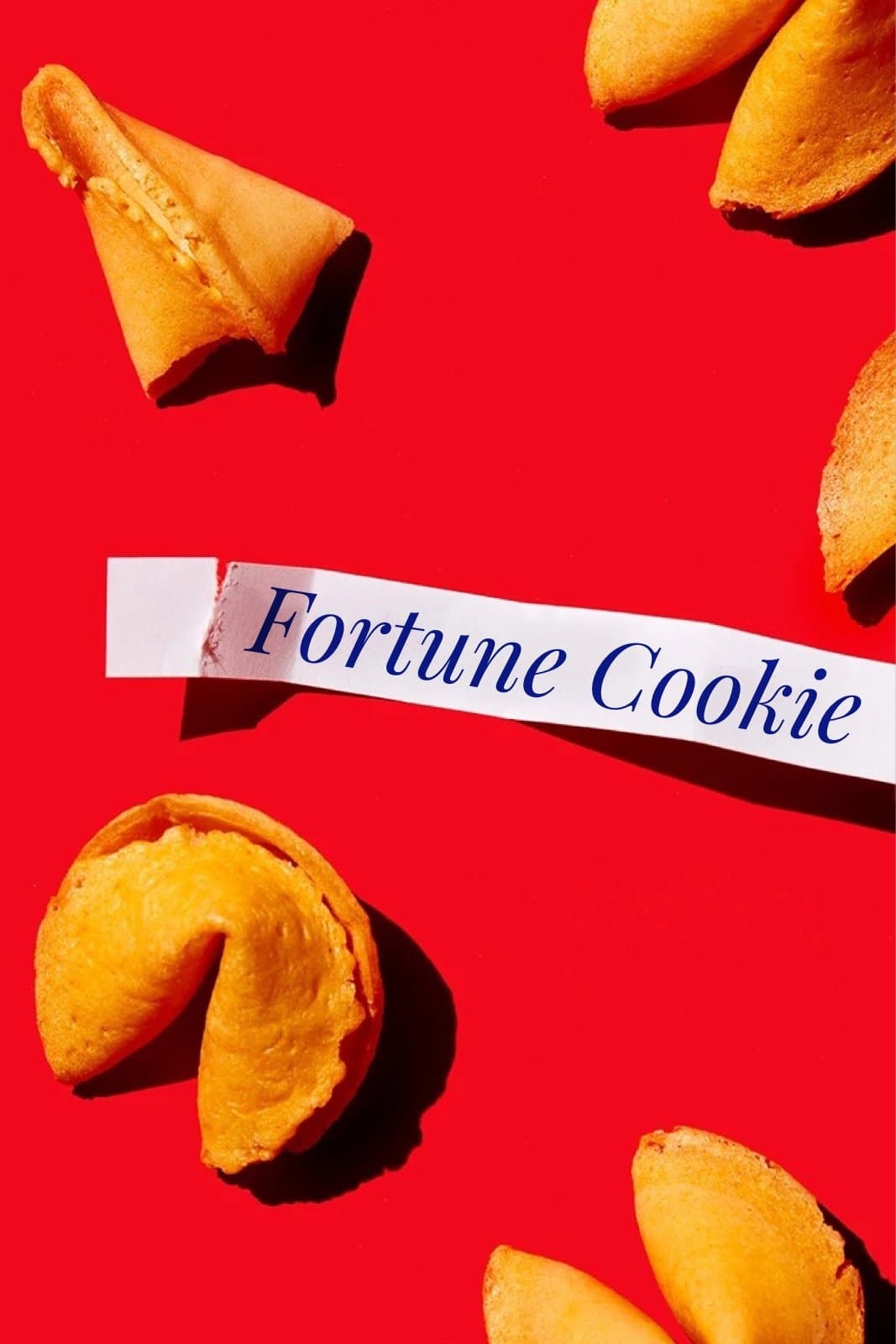 Fortune Cookie photo
