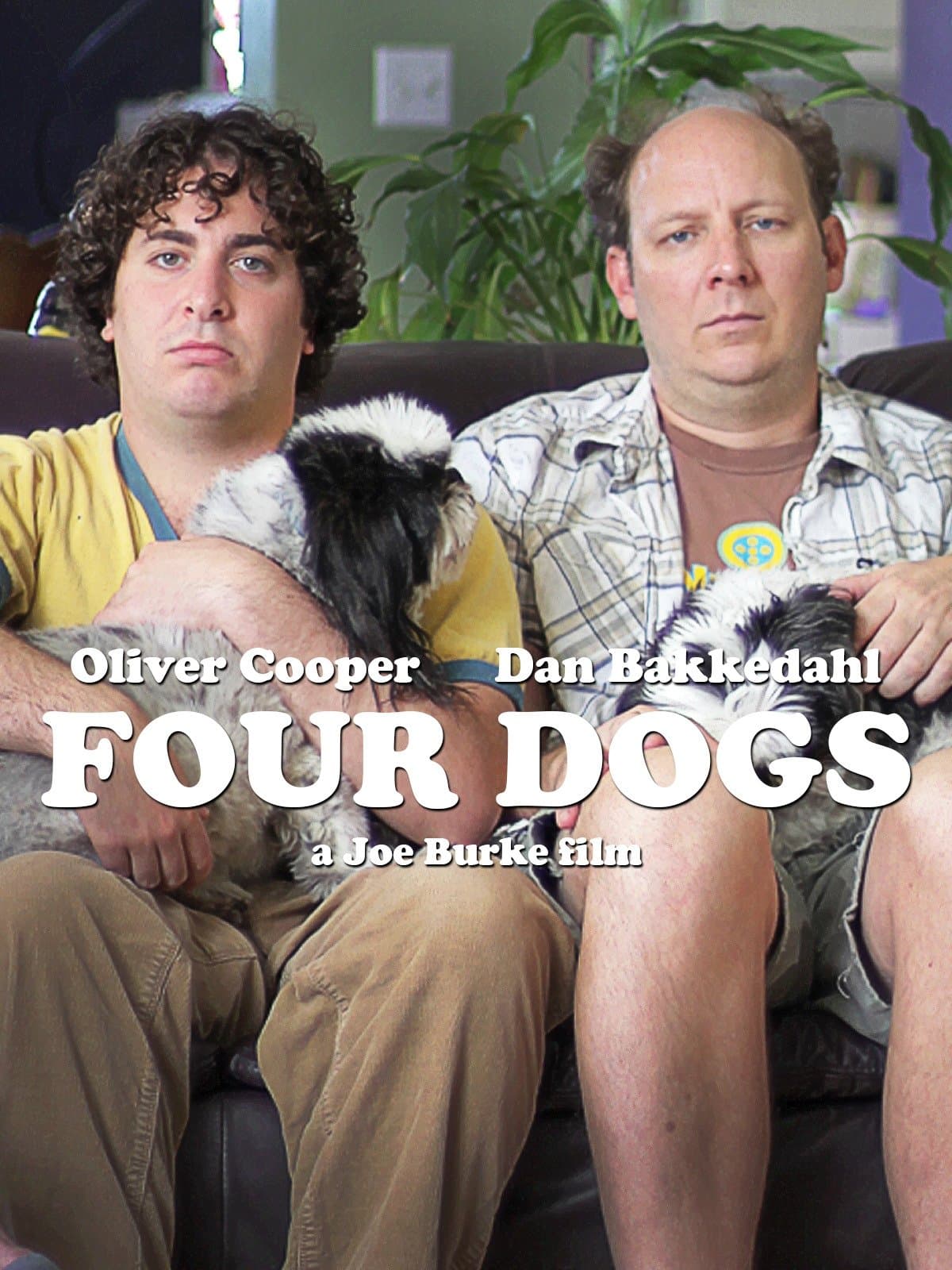 Four Dogs photo