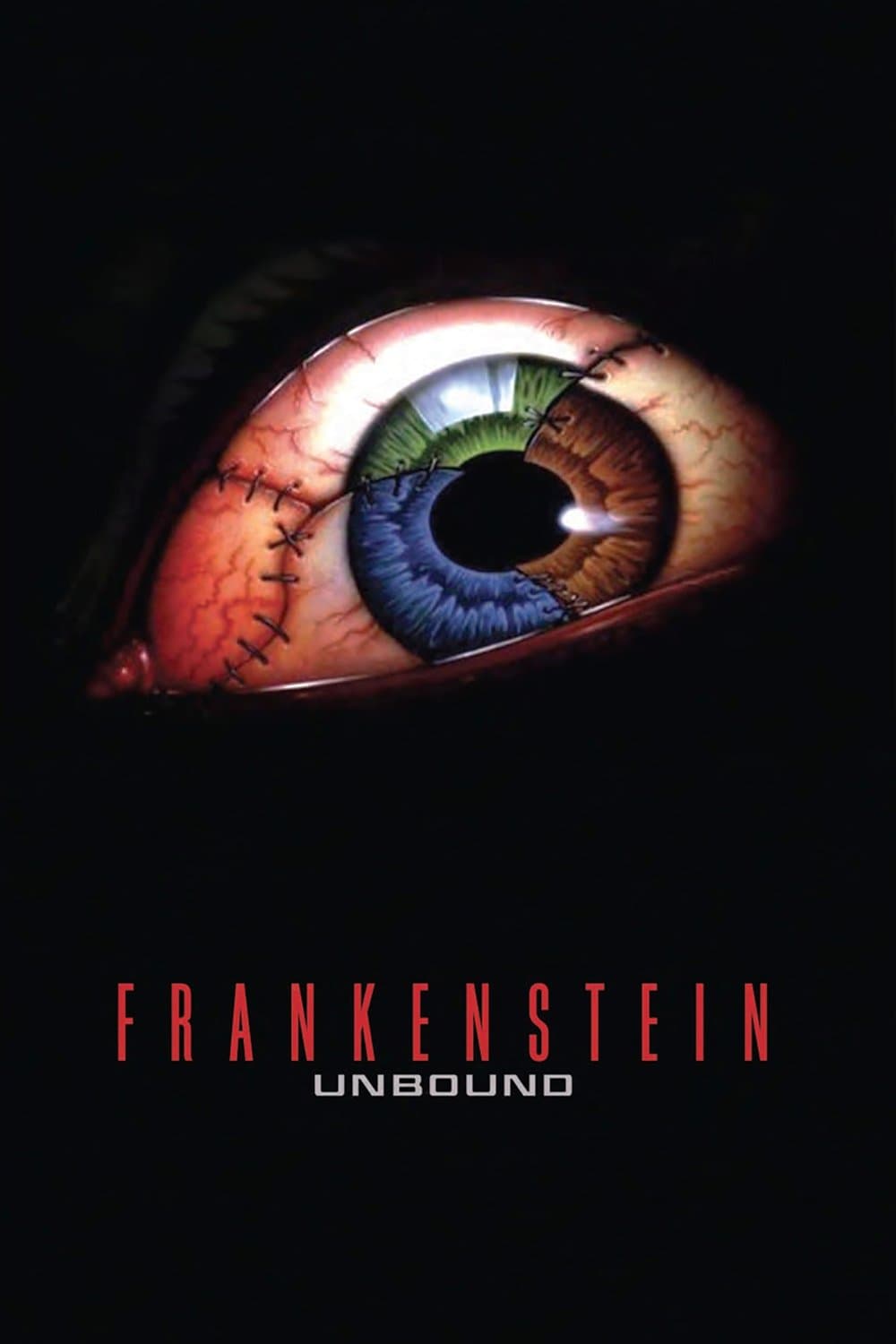 Frankenstein Unbound photo