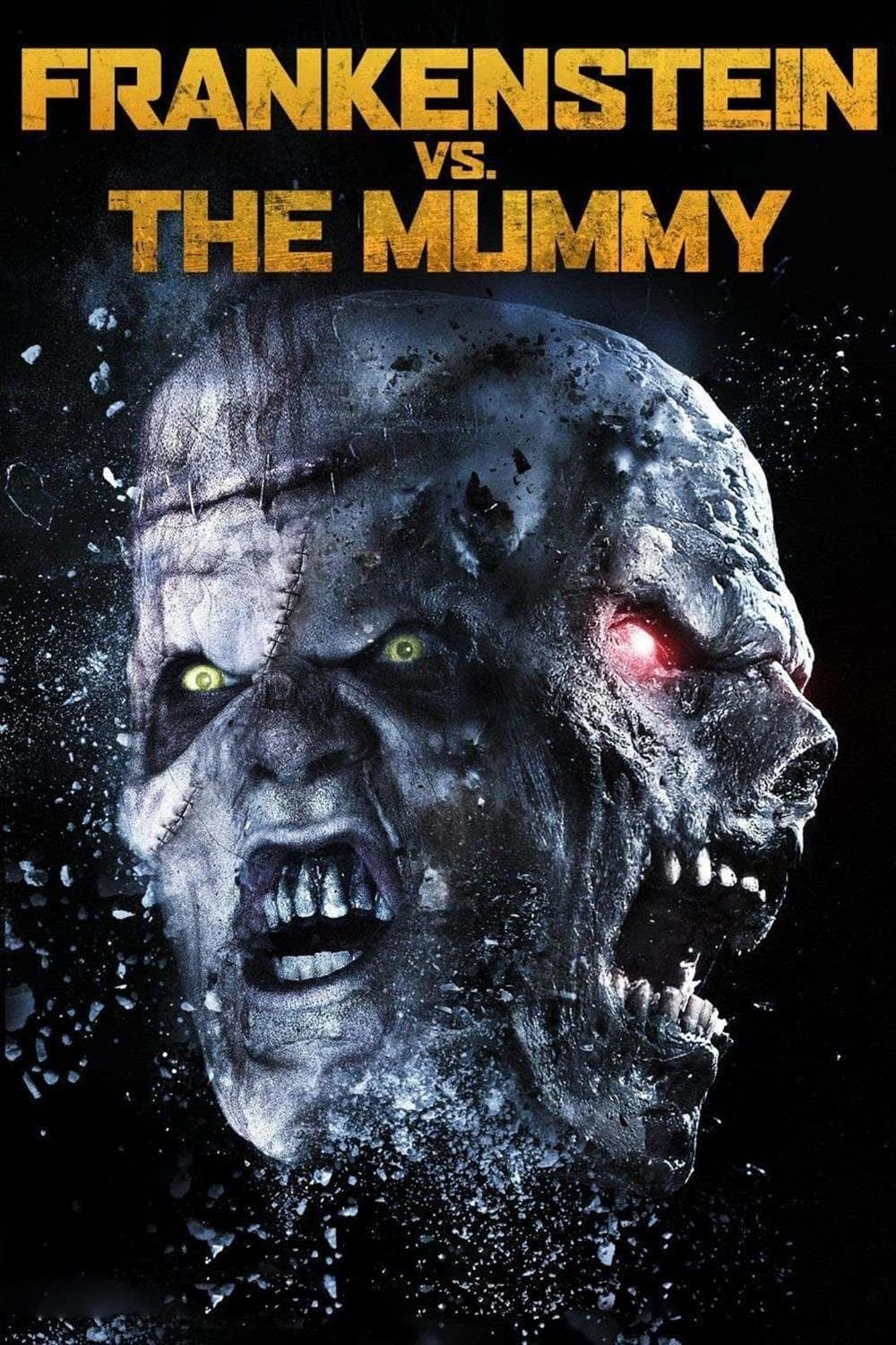 Frankenstein vs. The Mummy photo