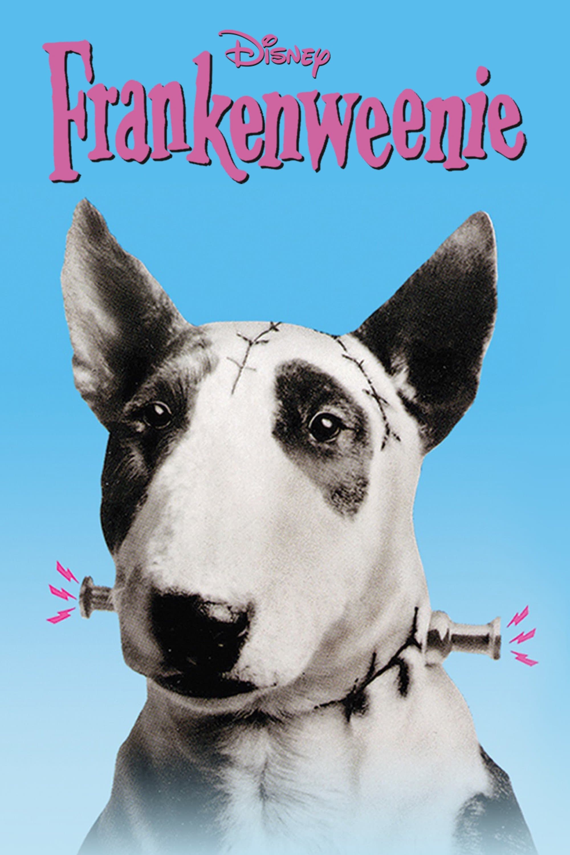 Frankenweenie photo