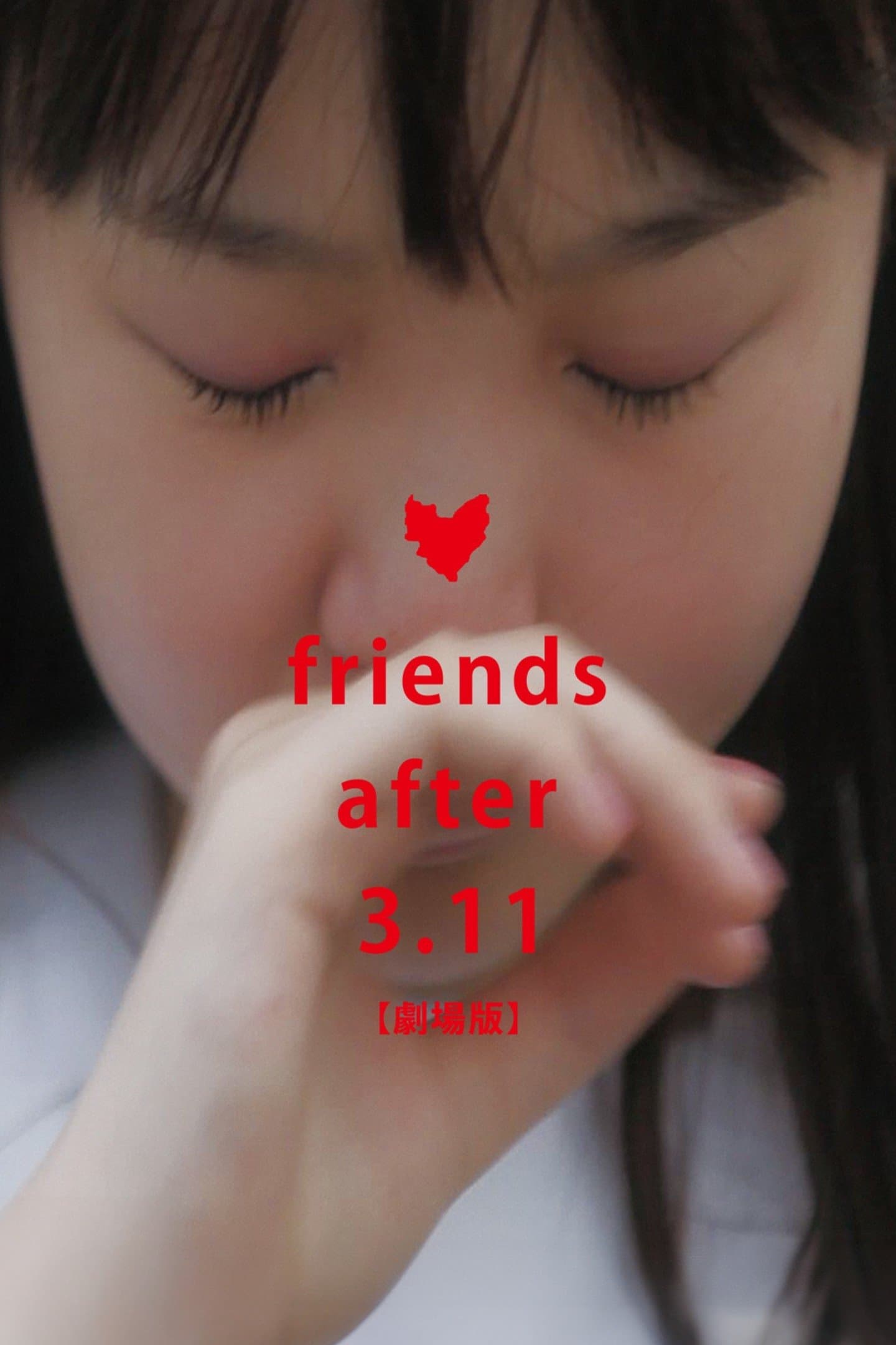 Friends After 3.11 photo