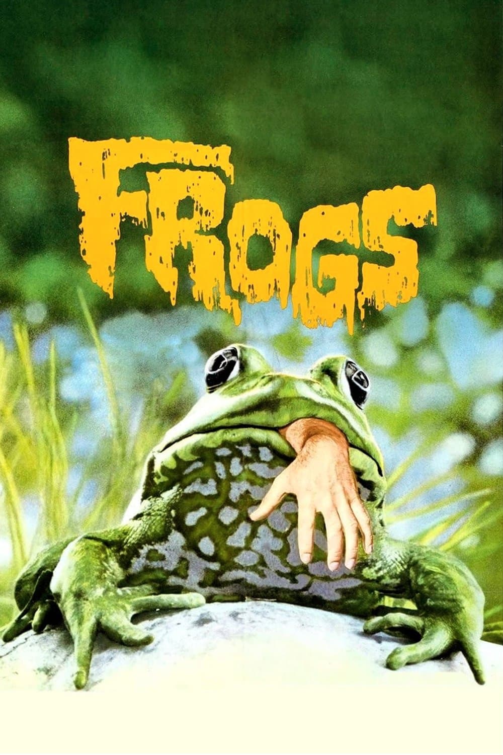 Frogs photo