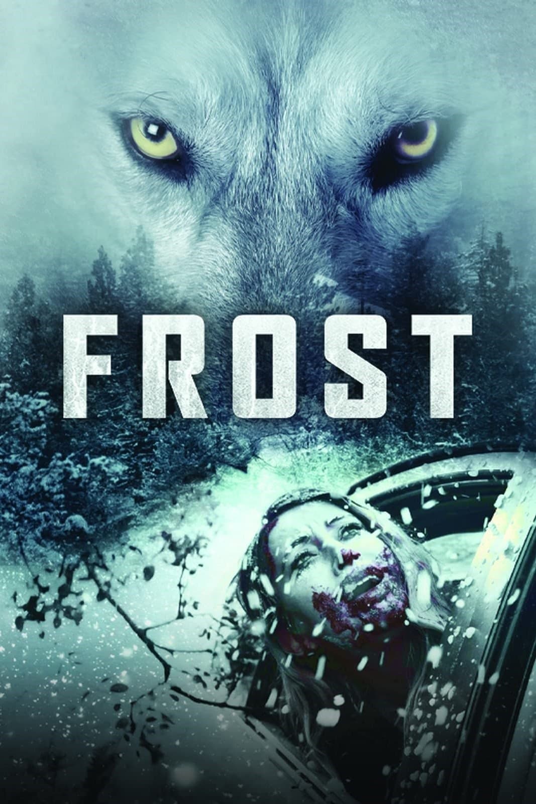 Frost photo
