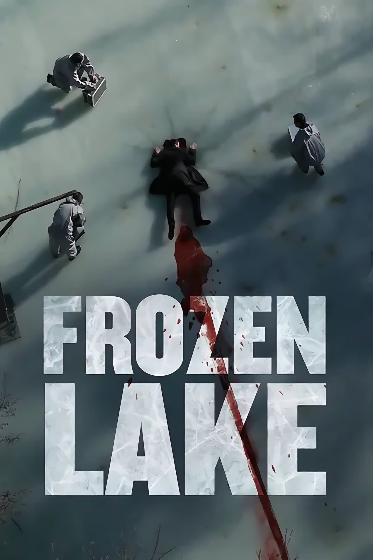 Frozen Lake photo