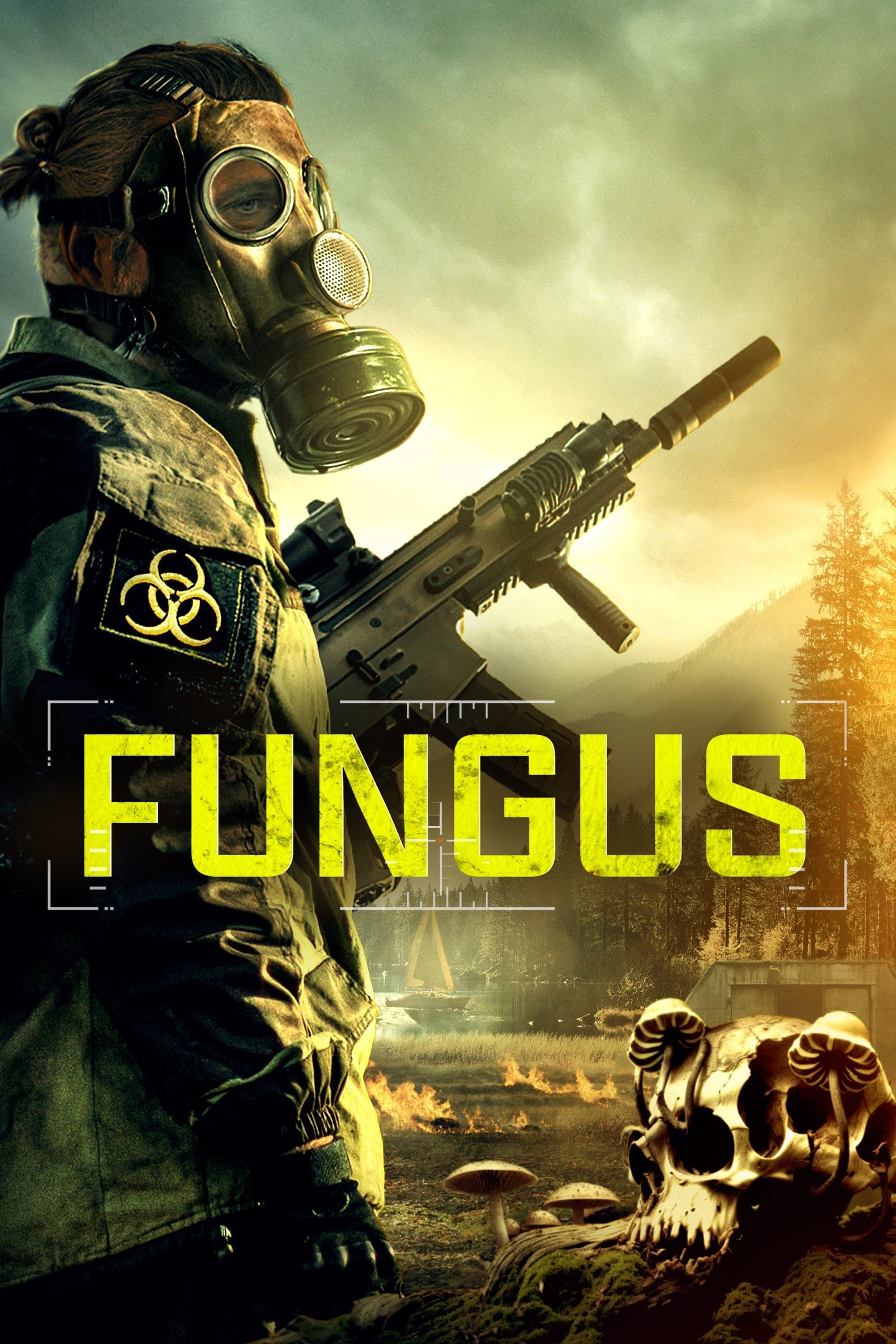 Fungus photo
