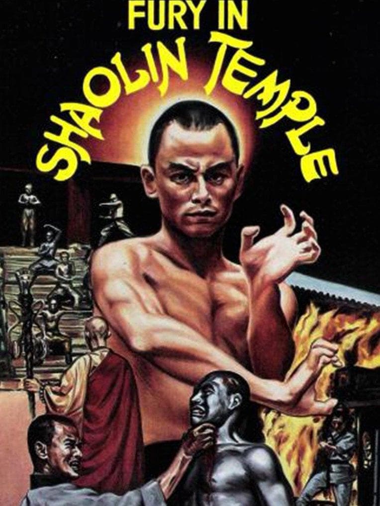 Fury in Shaolin Temple photo