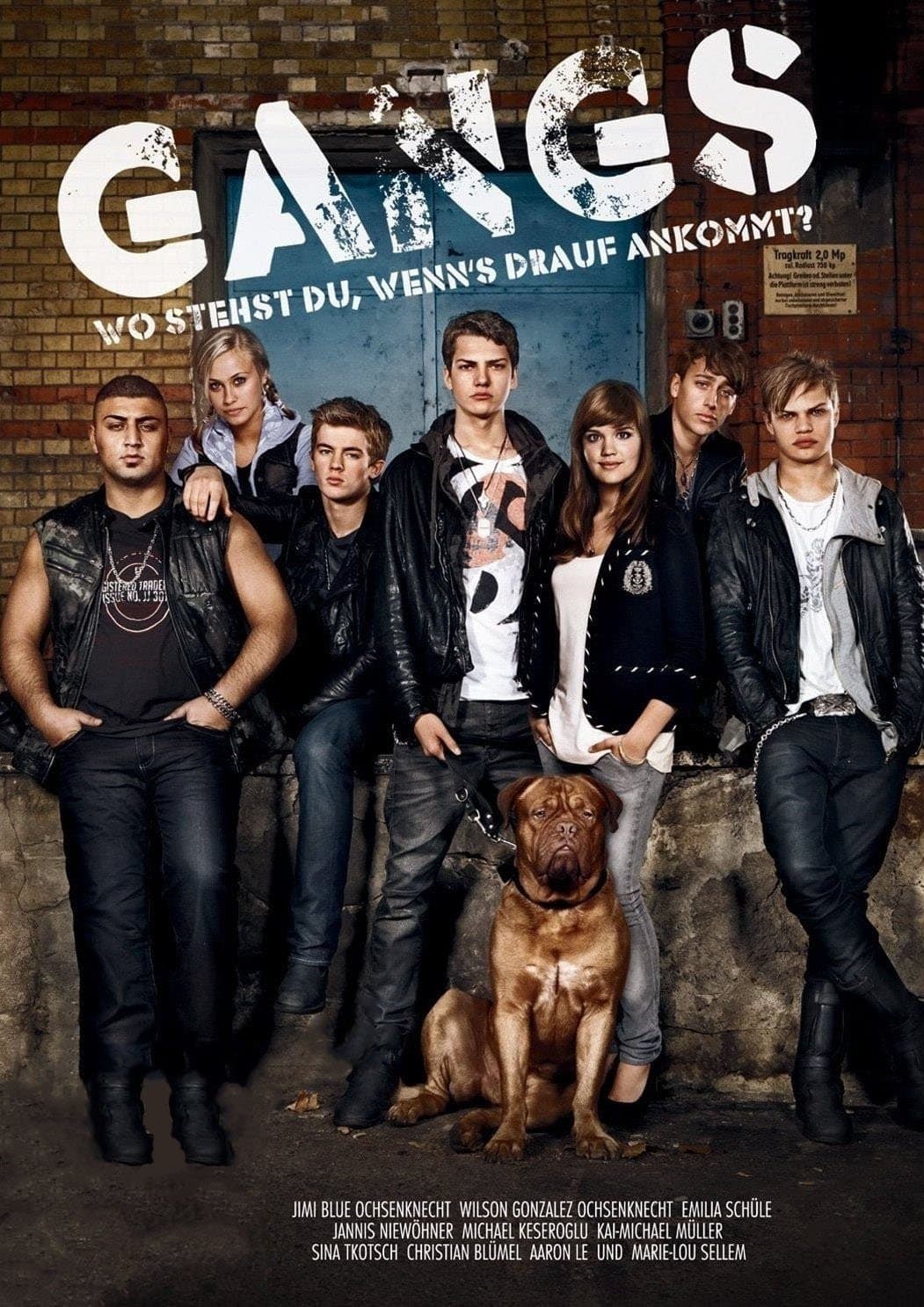 Gangs photo