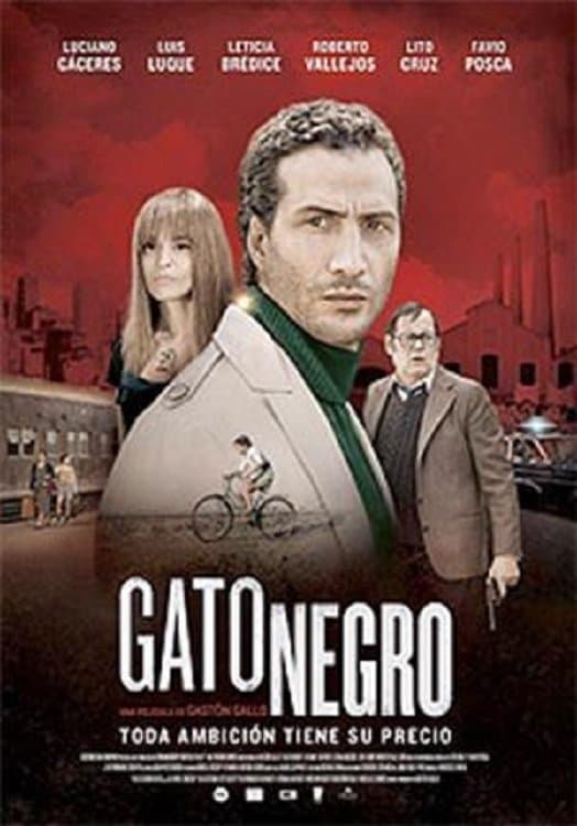 Gato negro photo
