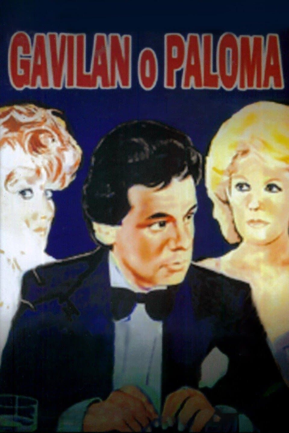 Gavilán o Paloma photo