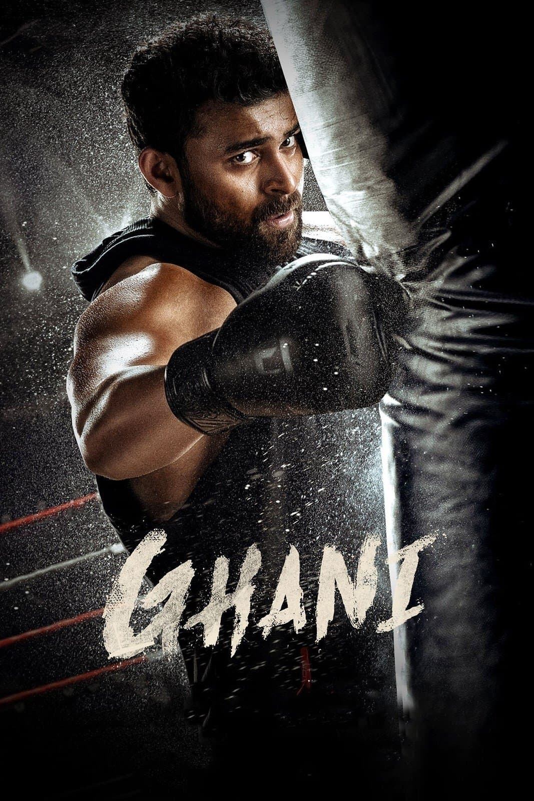Ghani photo