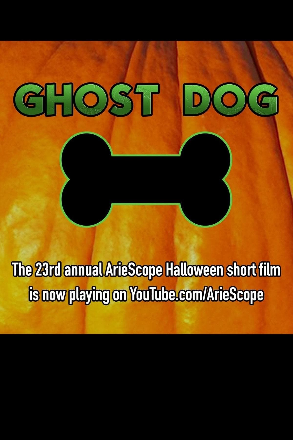 Ghost Dog photo