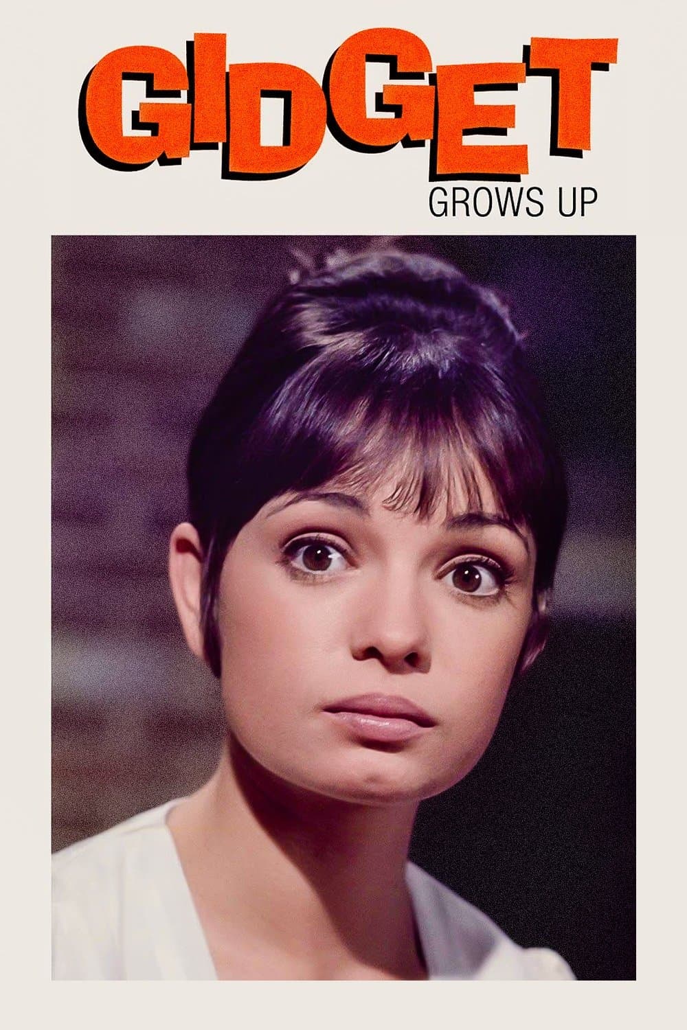 Gidget Grows Up photo