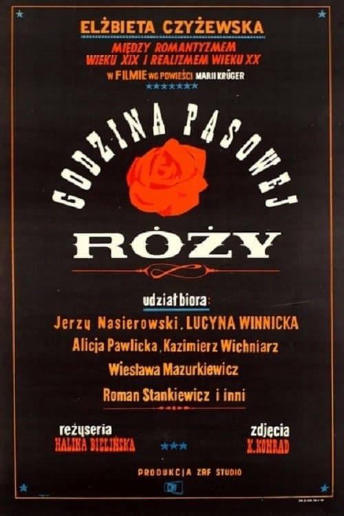 Godzina pąsowej róży photo