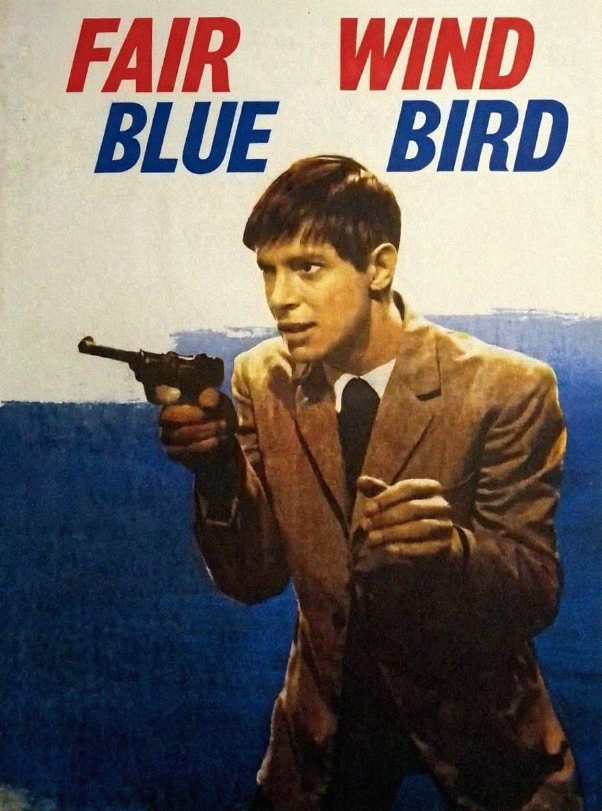 Good Wind, 'Blue Bird'! photo