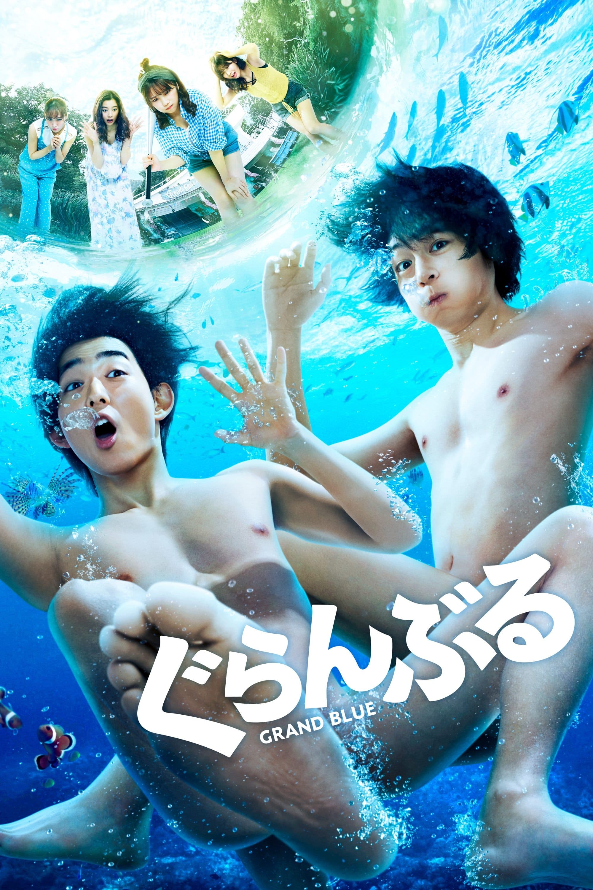 Grand Blue photo