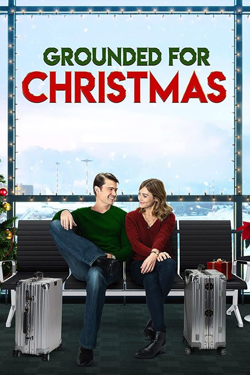 Grounded for Christmas photo