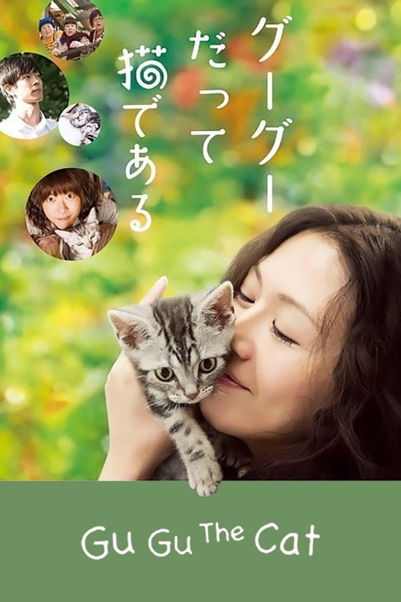 Gu Gu, the Cat photo