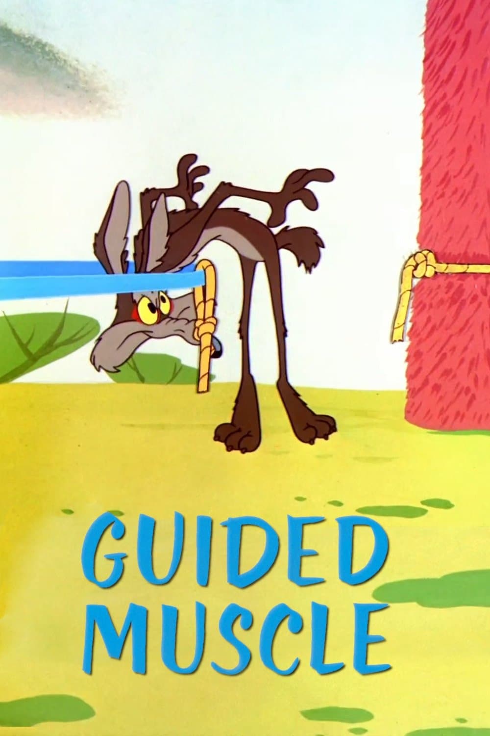 Guided Muscle photo