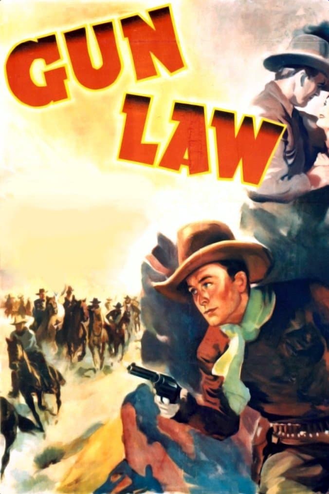 Gun Law photo