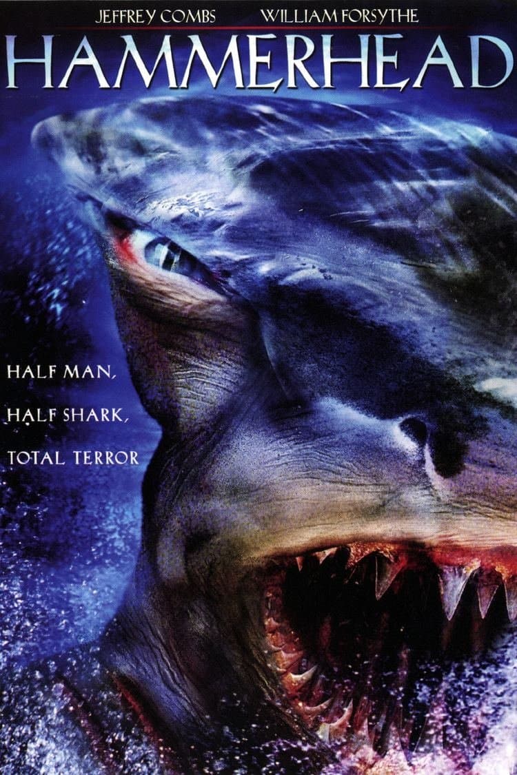Hammerhead photo