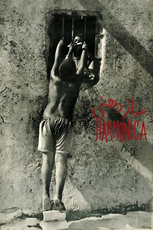 Harmonica photo