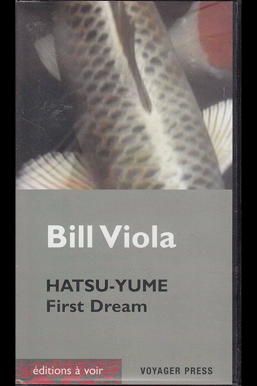 Hatsu Yume (First Dream) photo