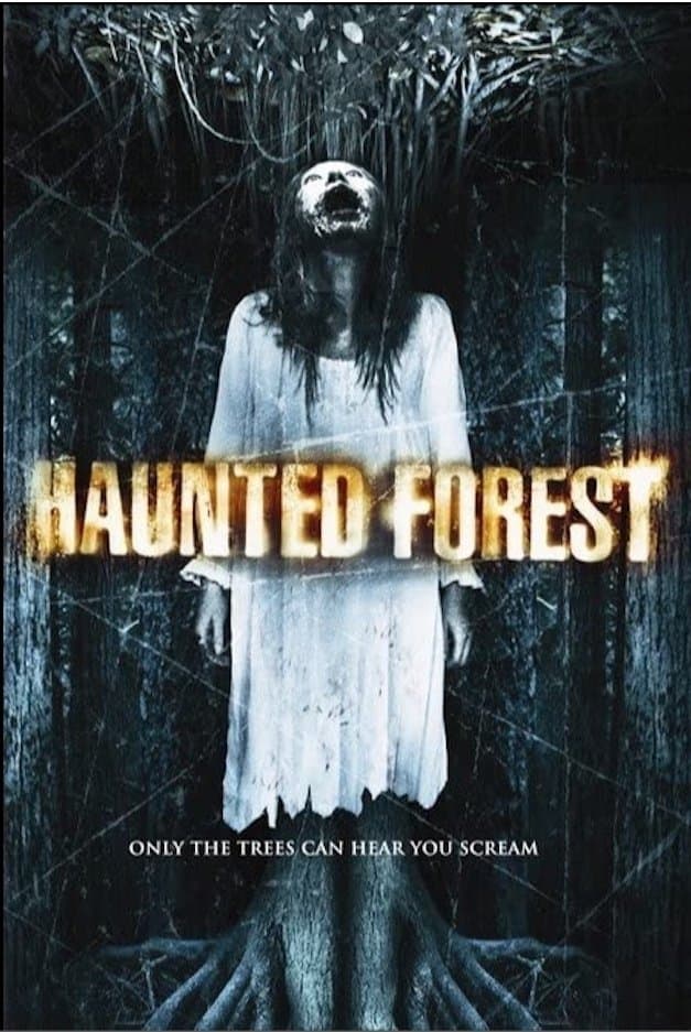 Haunted Forest photo