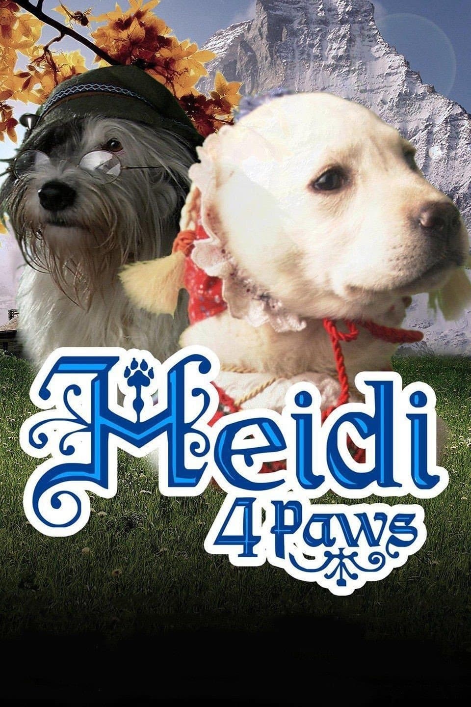 Heidi 4 Paws photo