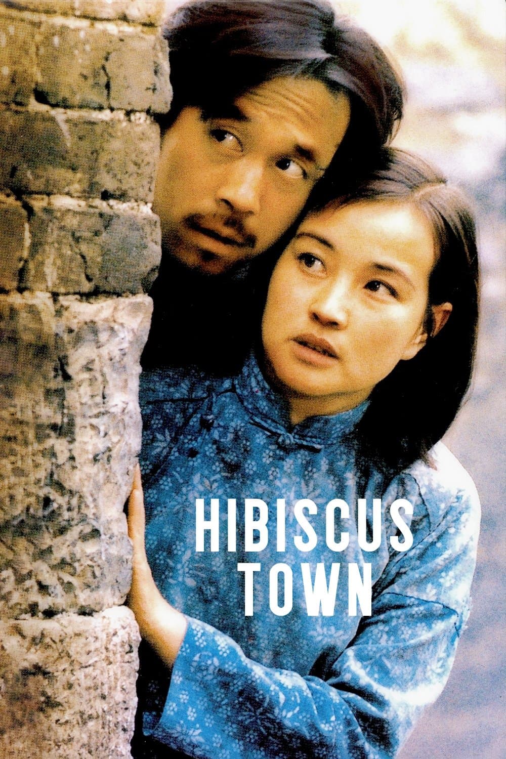 Hibiscus Town photo