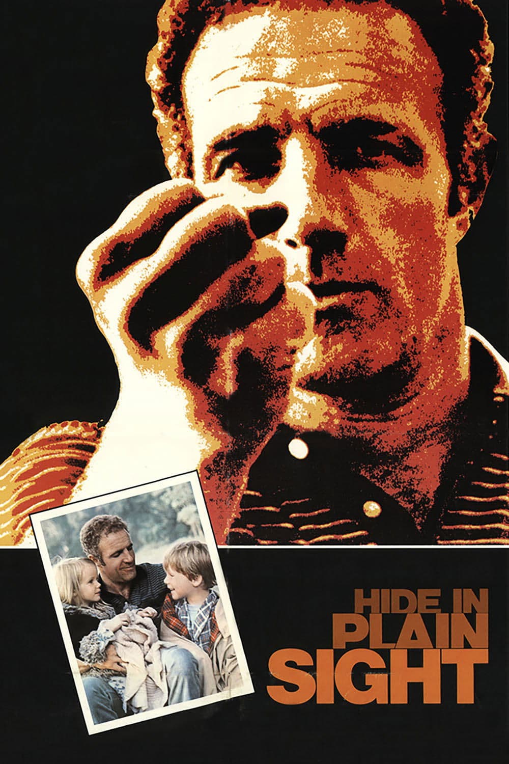 Hide in Plain Sight photo