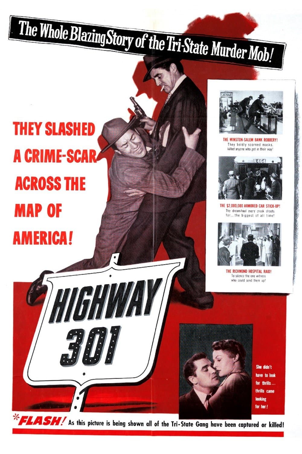 Highway 301 photo