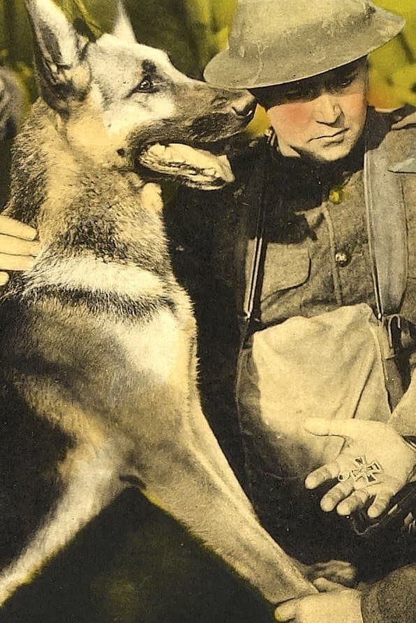 His Master's Voice photo