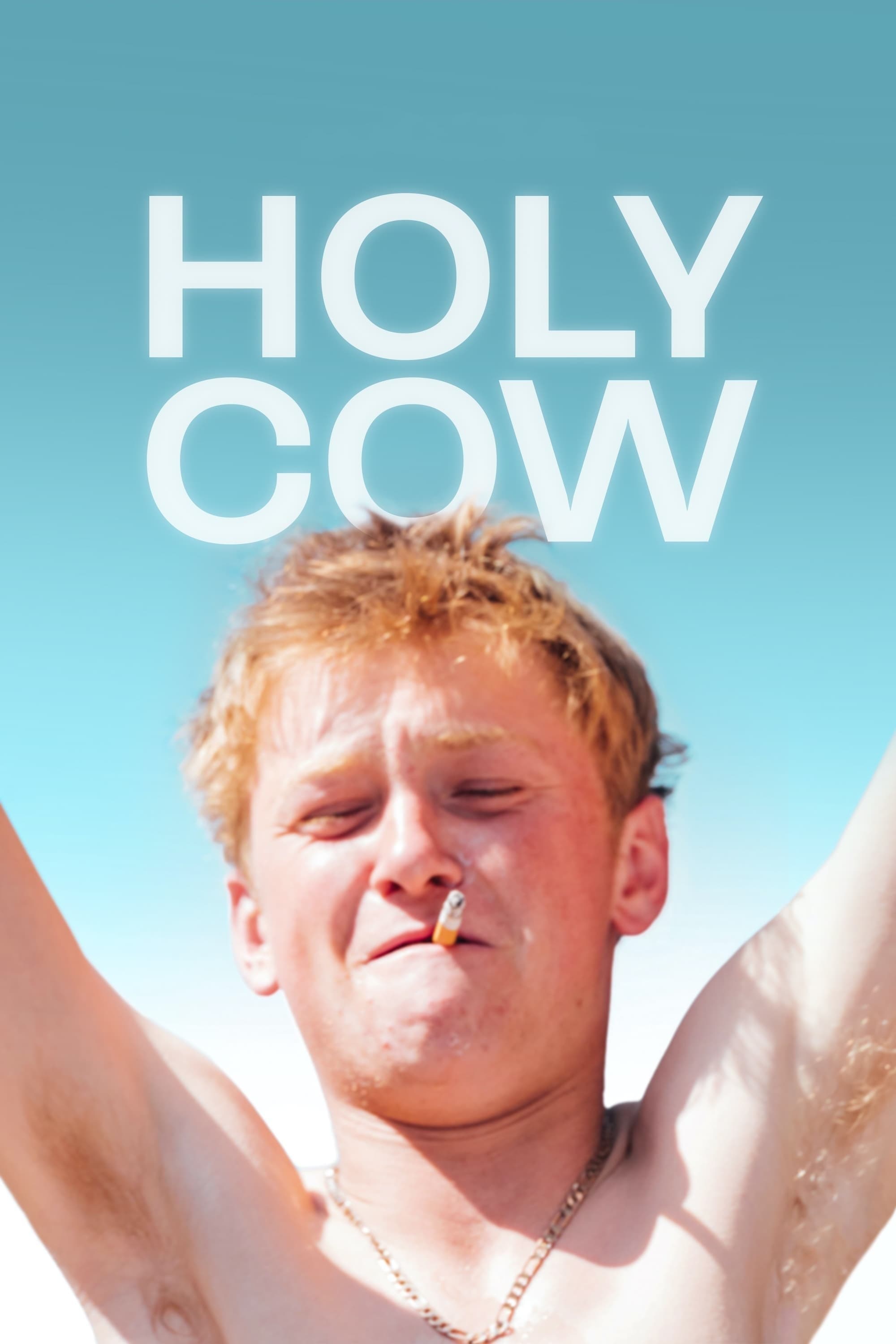 Holy Cow photo