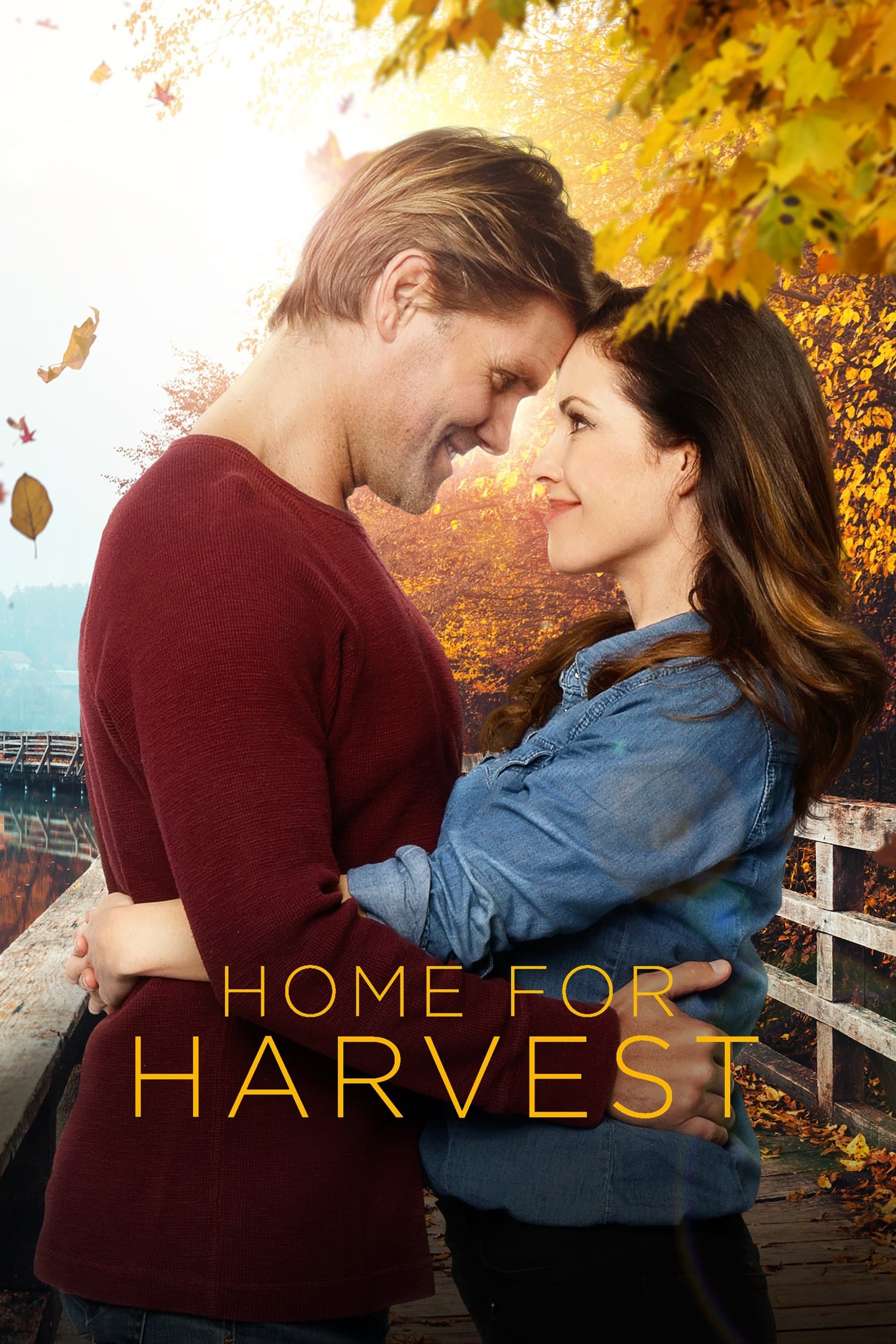 Home for Harvest photo