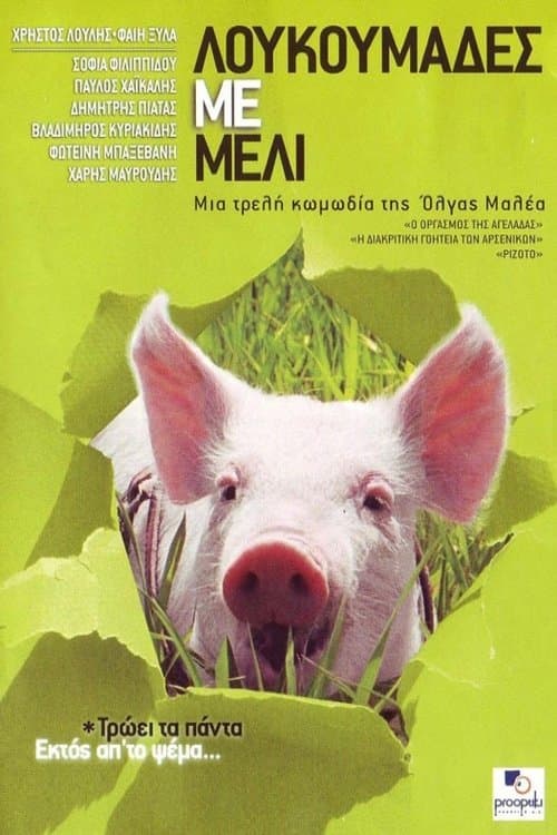 Honey and the Pig photo
