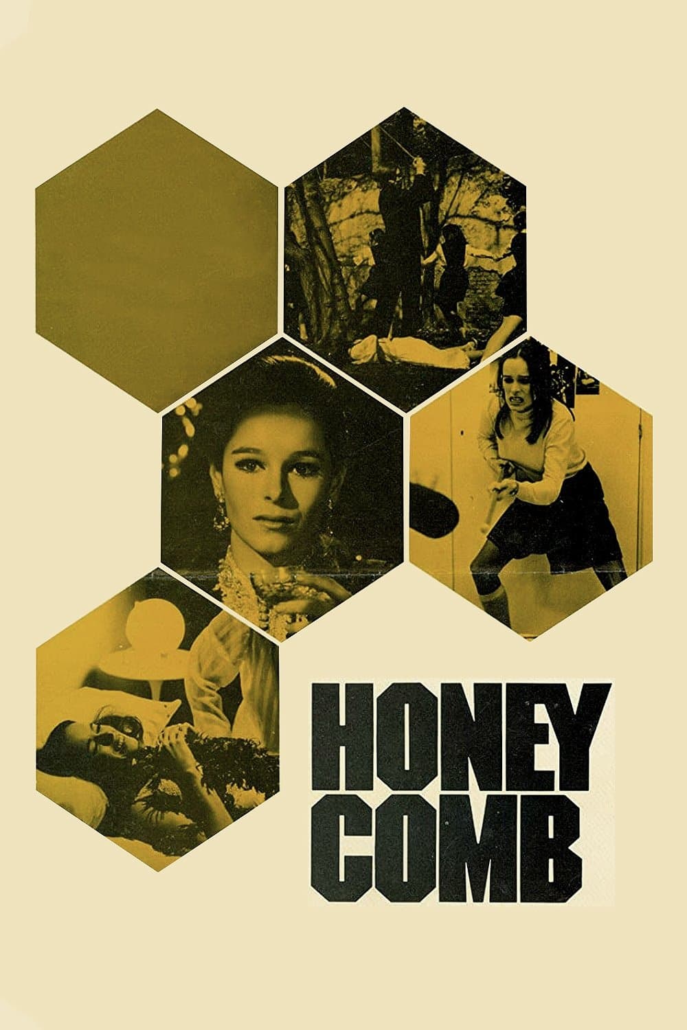 Honeycomb photo