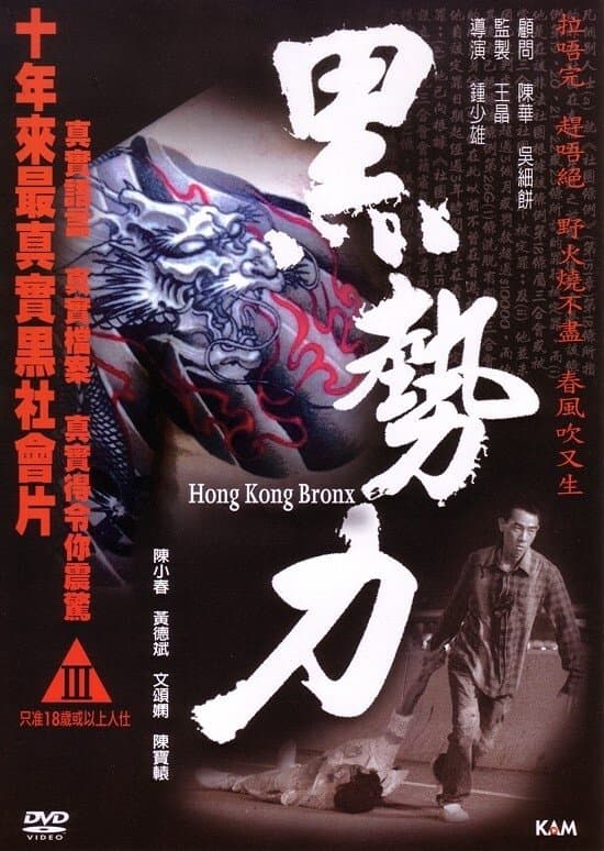 Hong Kong Bronx photo