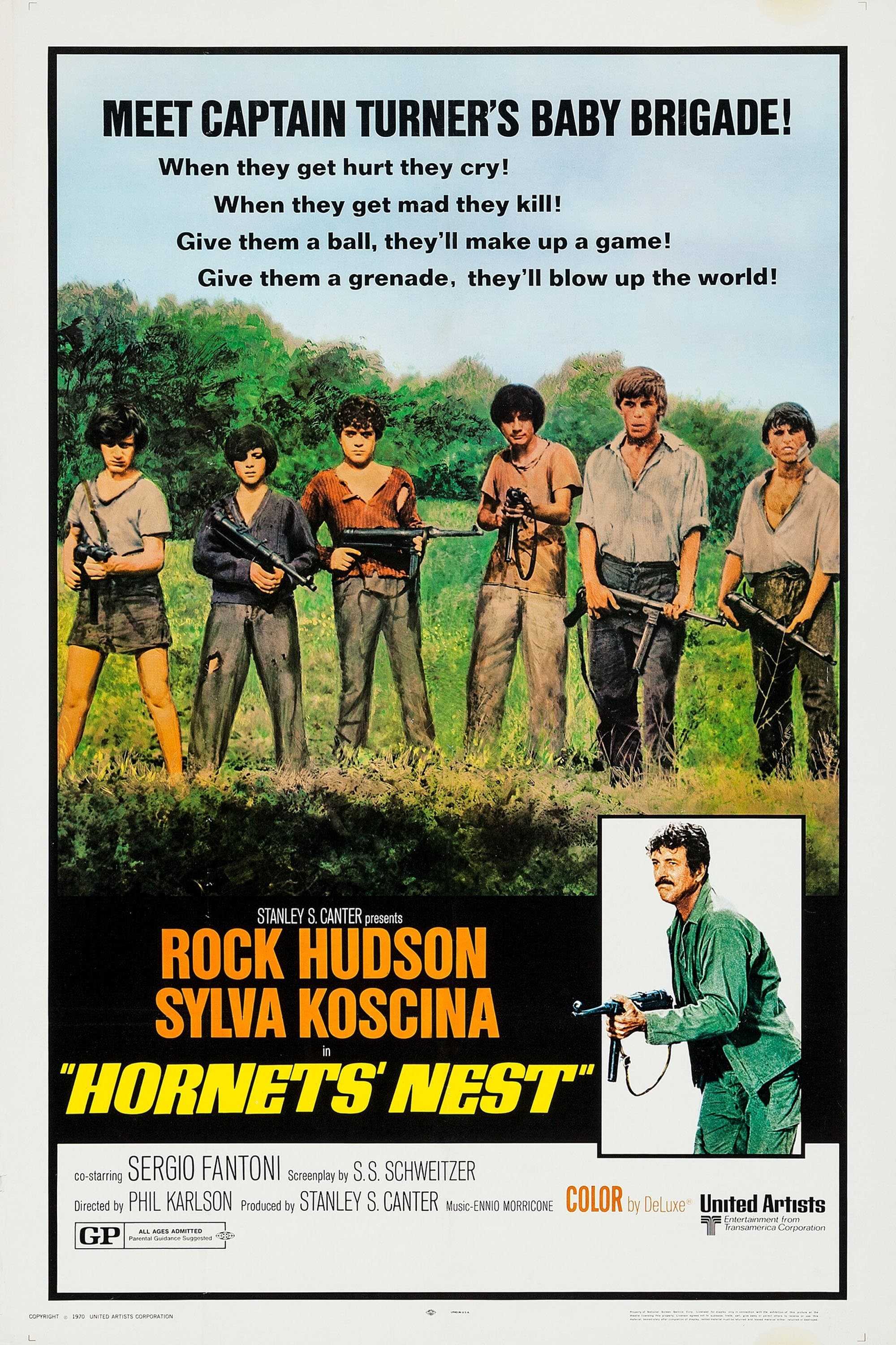 Hornets' Nest photo