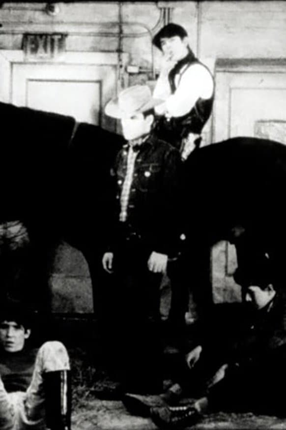 Horse photo