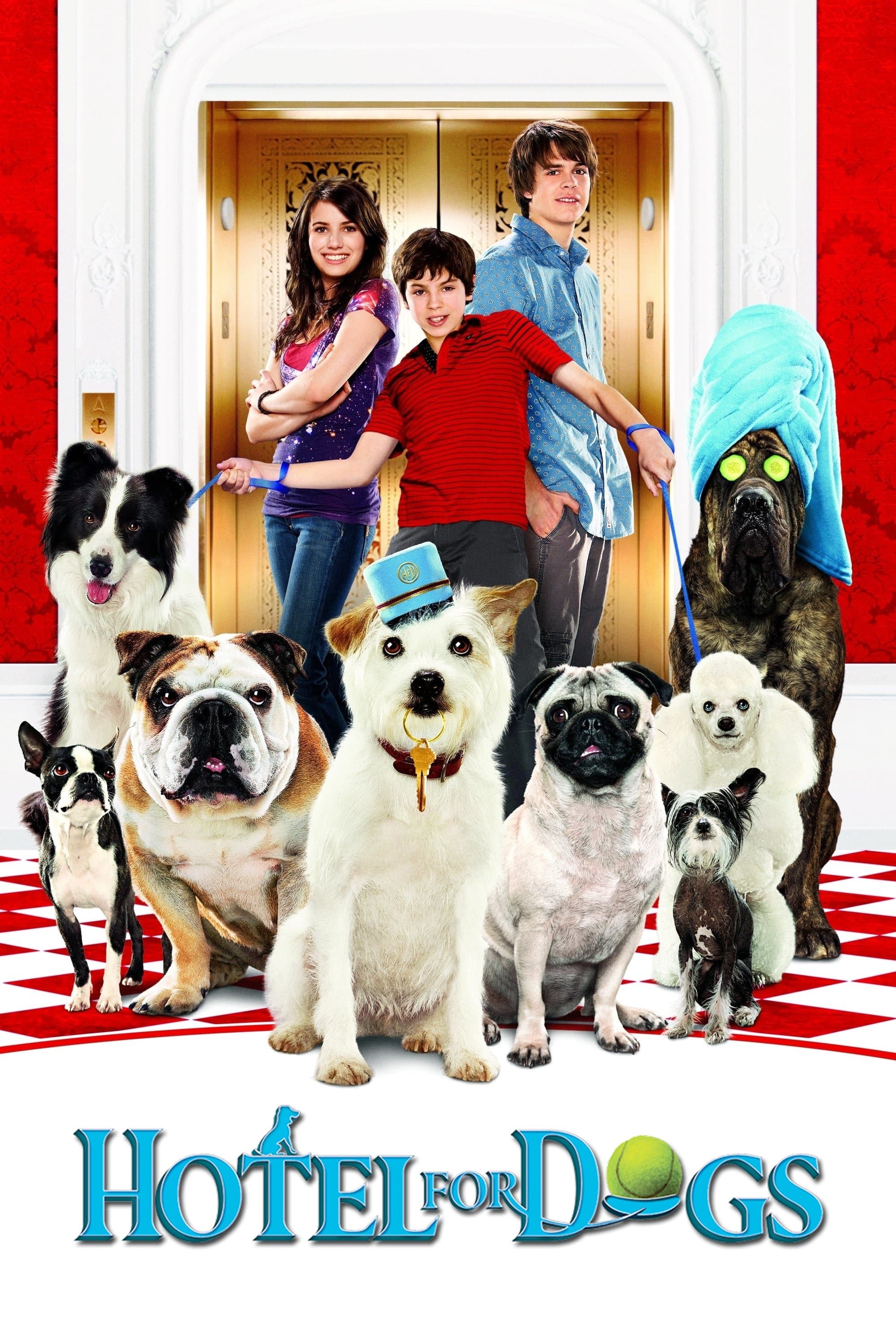 Hotel for Dogs photo