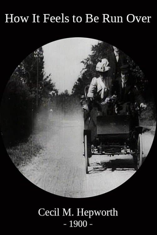 How It Feels to Be Run Over photo