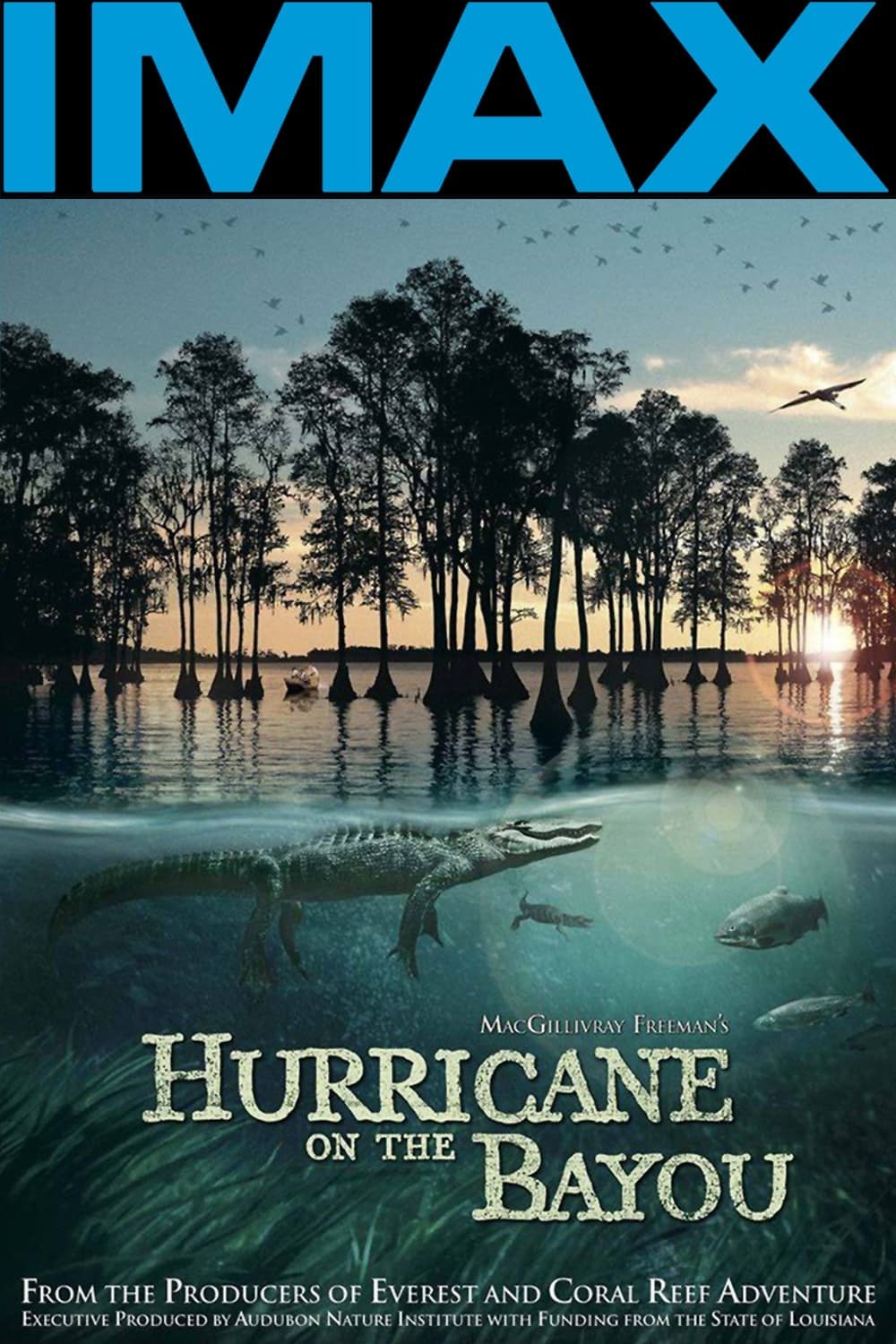 Hurricane on the Bayou photo