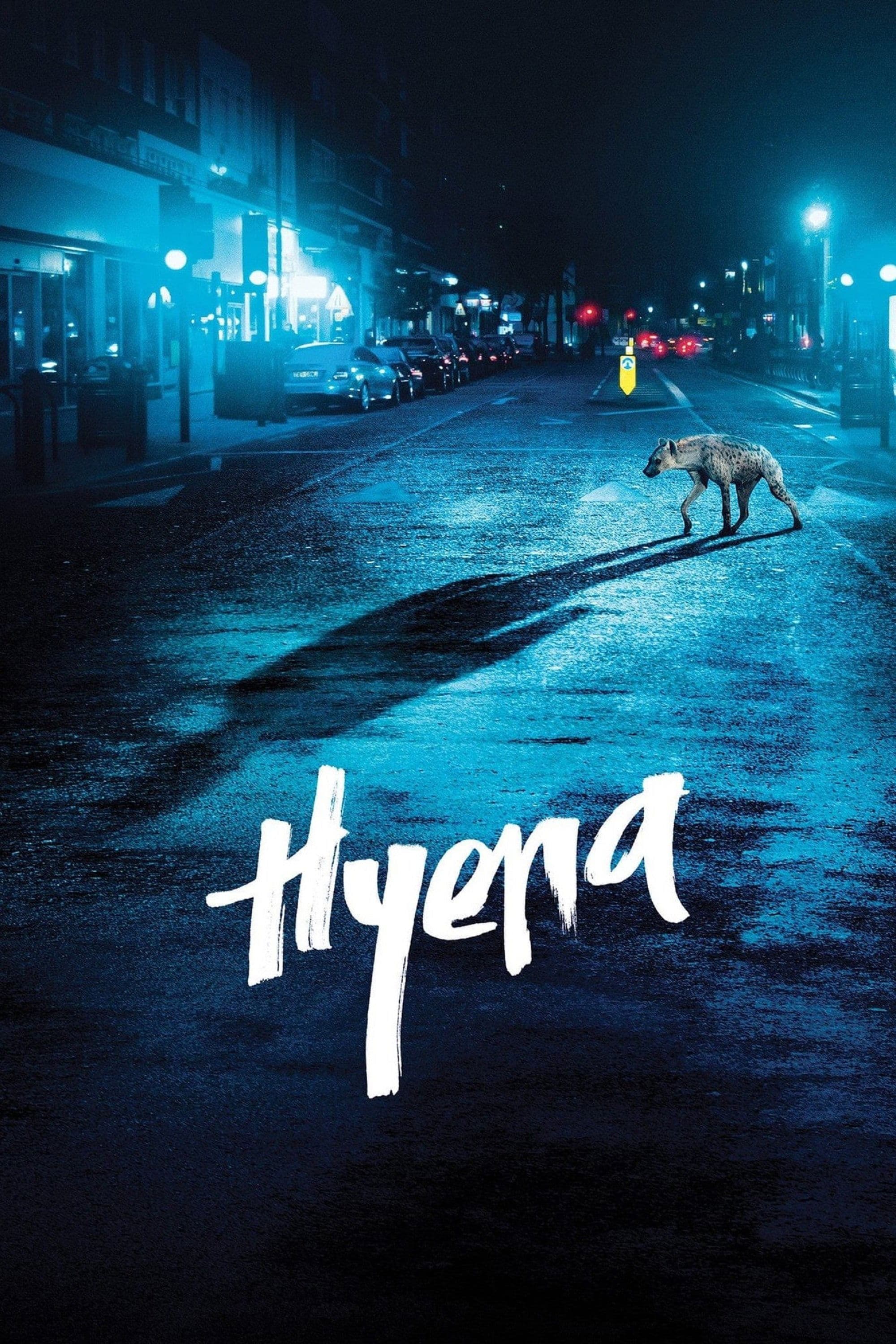 Hyena photo