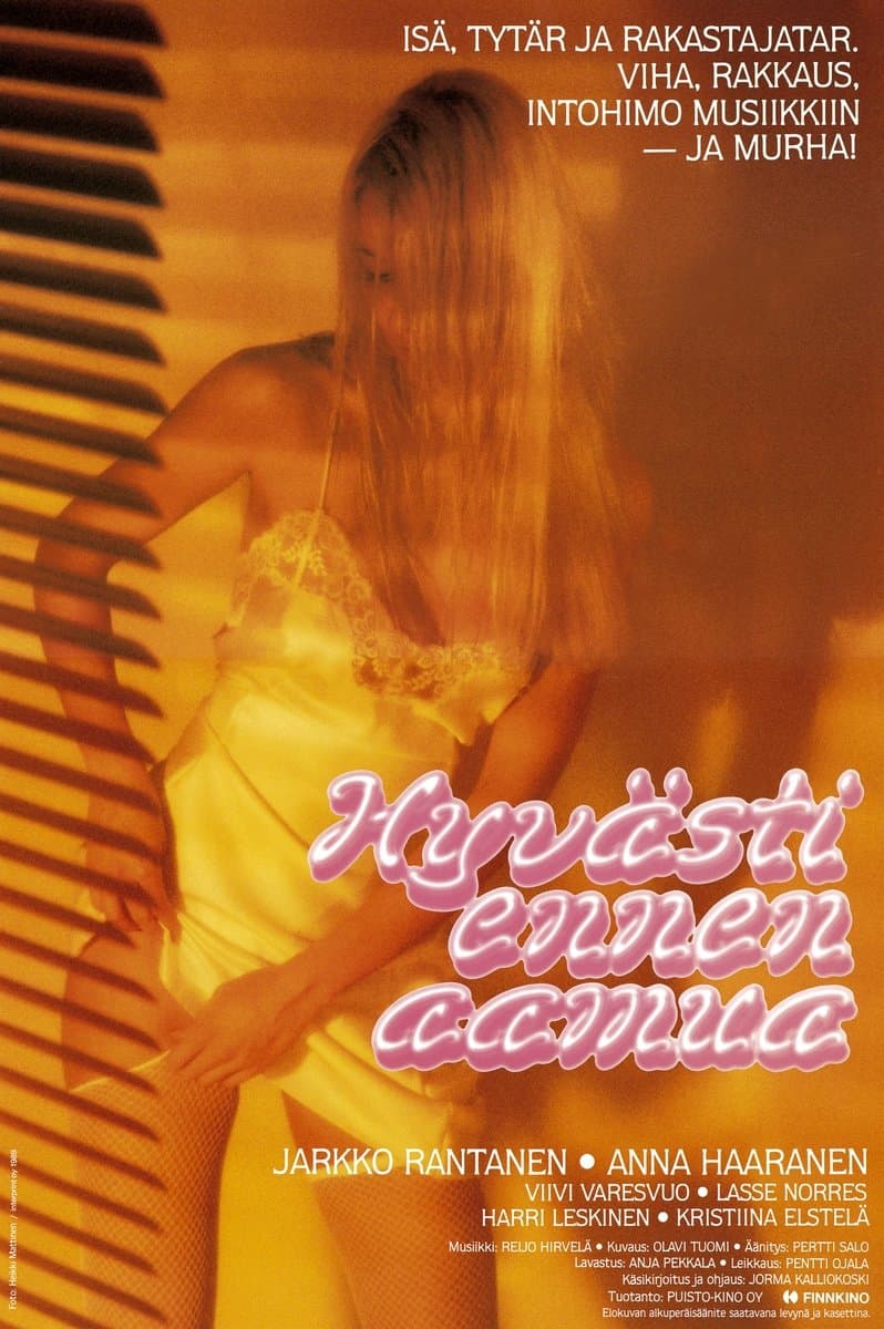 Hyvästi ennen aamua photo