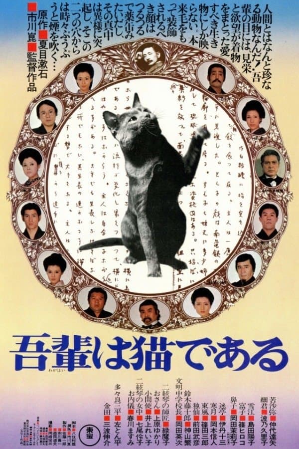 I Am a Cat photo