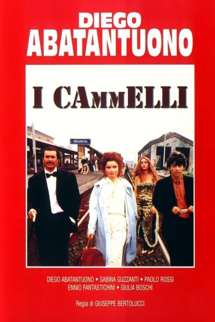 I cammelli photo