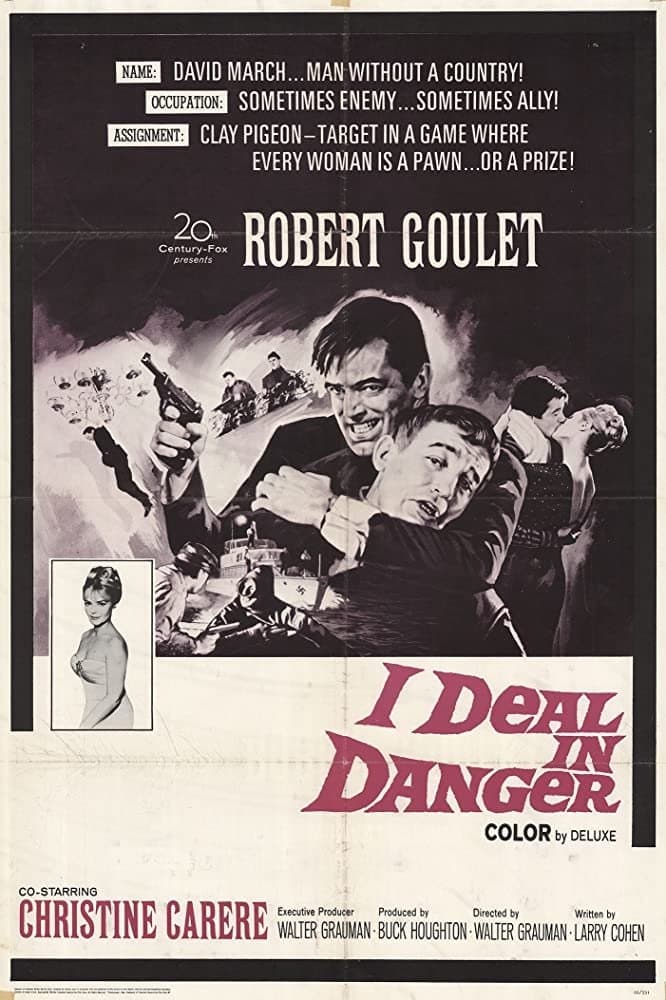 I Deal In Danger photo