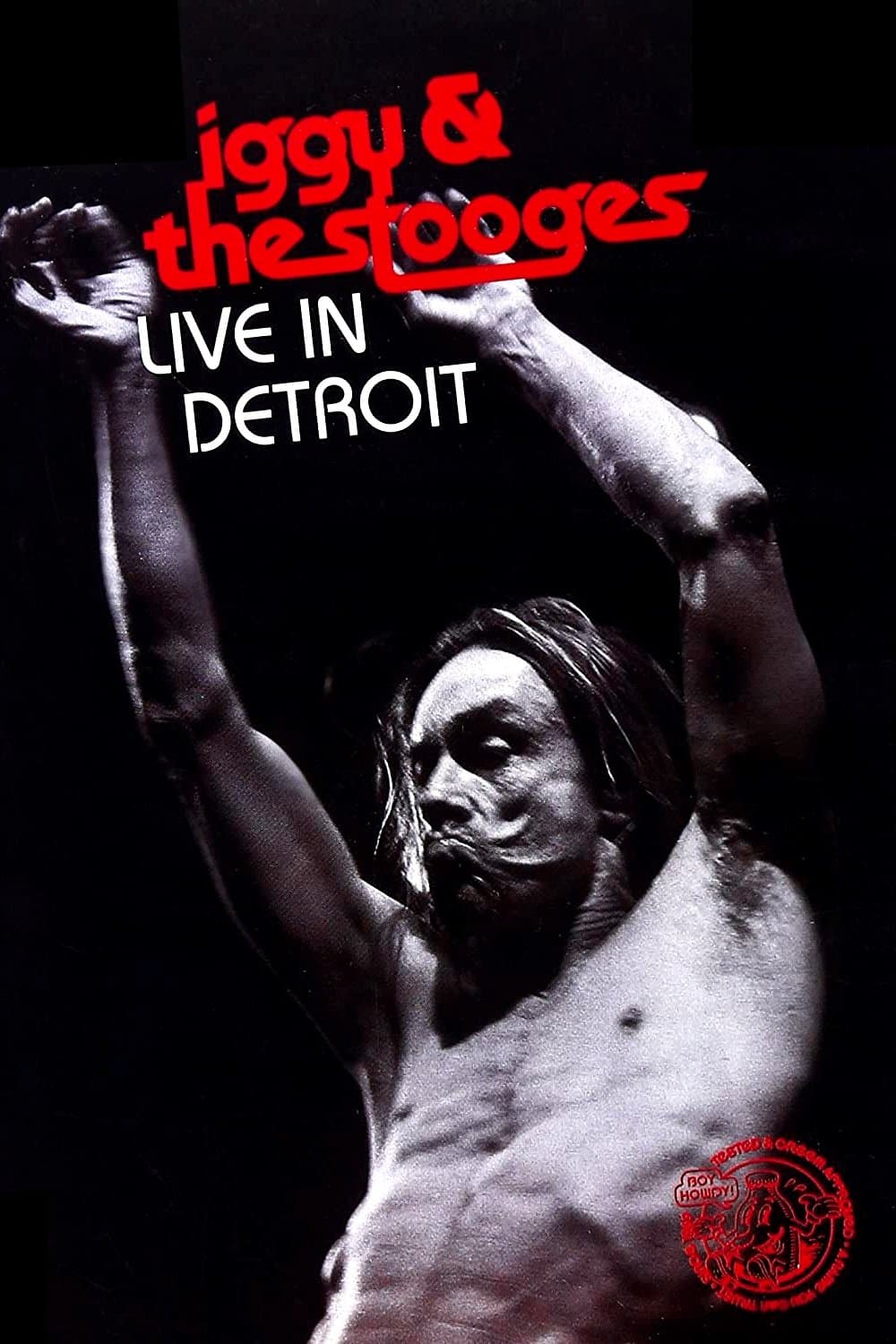 Iggy & the Stooges - Live in Detroit photo